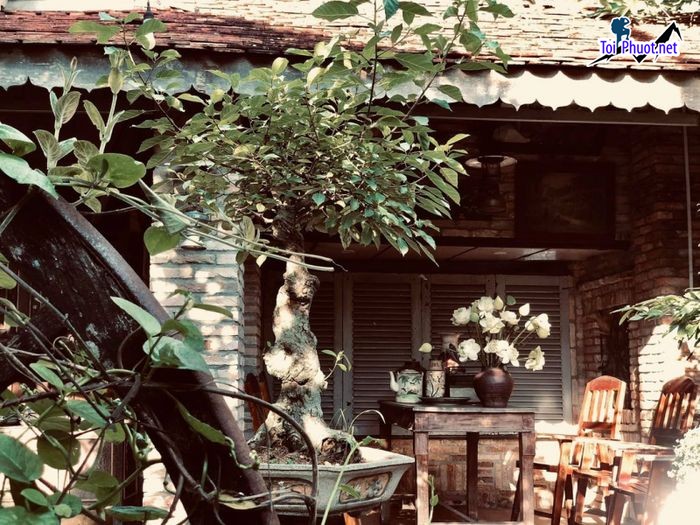 Top 10 Quán cafe 2424 tại Tây Ninh mở cửa qua đêm được yêu thích nhất không gian ấm áp (2)