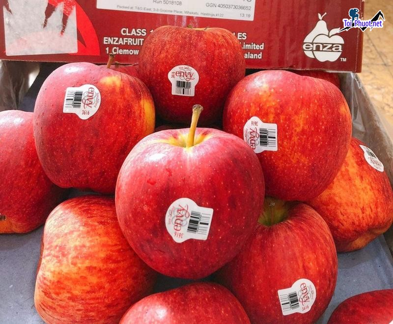 Top 4 Địa chỉ bán trái cây nhập khẩu chất lượng Ninh Bình sản phẩm vượt trội (1)