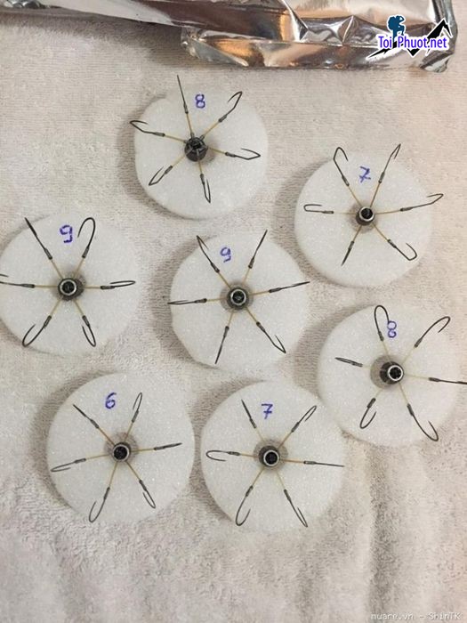 Top 5 Địa chỉ bán dụng cụ câu cá tốt nhất Hải Phòng được yêu thích nhất (3)