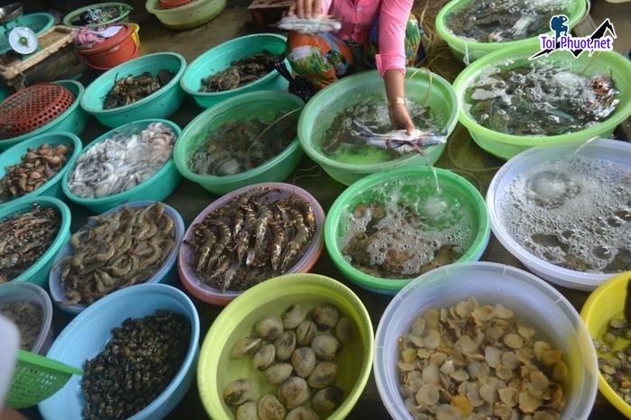 Top 5 Địa chỉ bán hải sản tươi sống chất lượng nhất Đà Nẵng rẻ như cho (3)