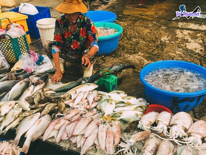 Top 5 Địa chỉ bán hải sản tươi sống chất lượng nhất Đồng Tháp có tiếng tại đây (4)