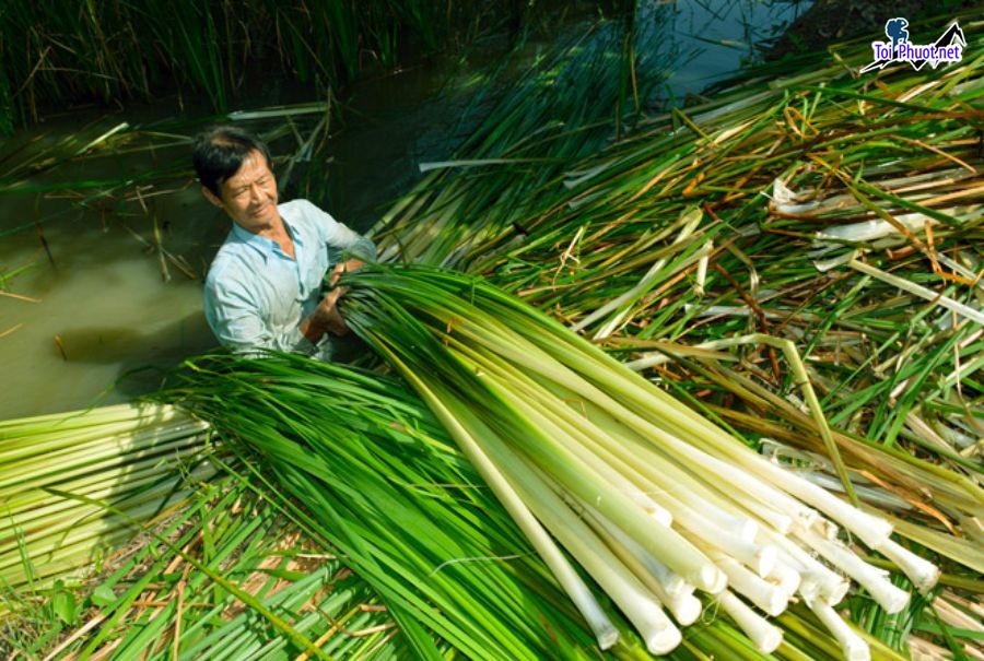 Top 5 Làng nghề truyền thống nổi tiếng nhất Cà Mau có thể bạn chưa biết (1)