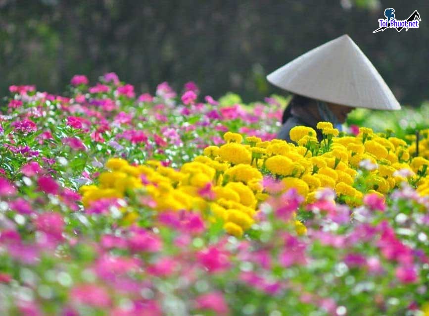 Top 8 Làng nghề truyền thống nổi tiếng nhất Đồng Tháp tạo thành các điểm du lịch văn hóa đặc biệt của vùng (3)