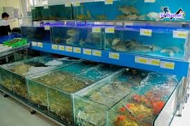 Top Địa chỉ bán hải sản tươi sống chất lượng nhất Cao Bằng giá cực hấp dẫn (1)