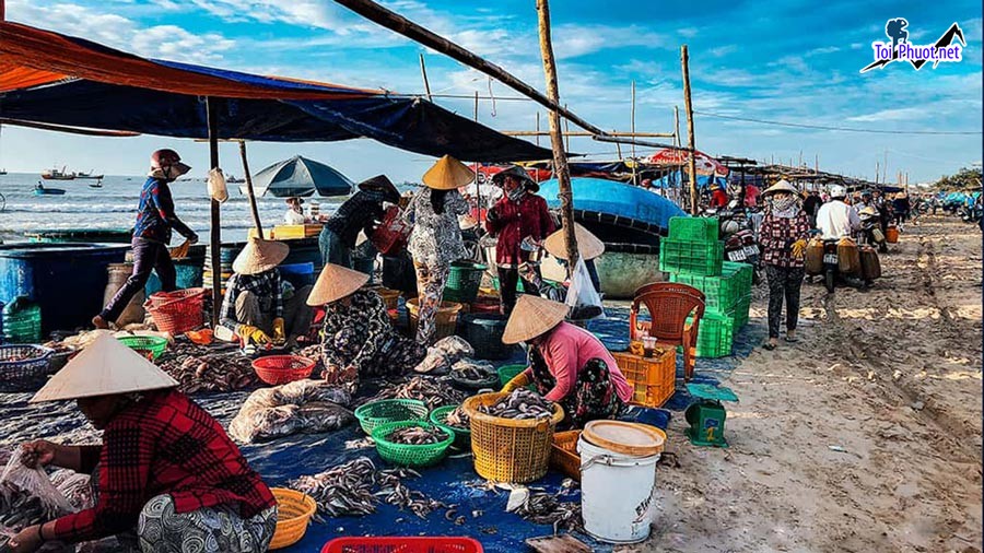 Top Địa chỉ bán hải sản tươi sống chất lượng nhất Quảng Ngãi đa dạng mặt hàng (3)