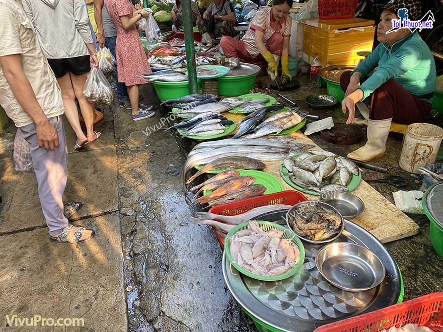 Top Địa chỉ bán hải sản tươi sống chất lượng nhất Quảng Trị dinh dưỡng cao