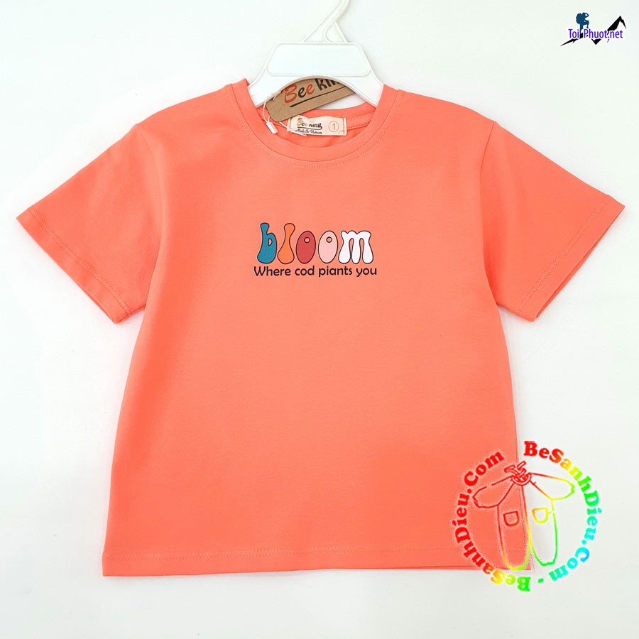 Kho lấy sỉ quần áo vải thun Thái Lan Cà Mau lạnh giá rẻ chất lượng tiêu chuẩn chất lượng (2)