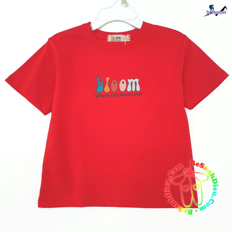Kho lấy sỉ quần áo vải thun Thái Lan Phủ Lý Hà Nam lạnh giá rẻ chất lượng không đâu rẻ hơn (2)