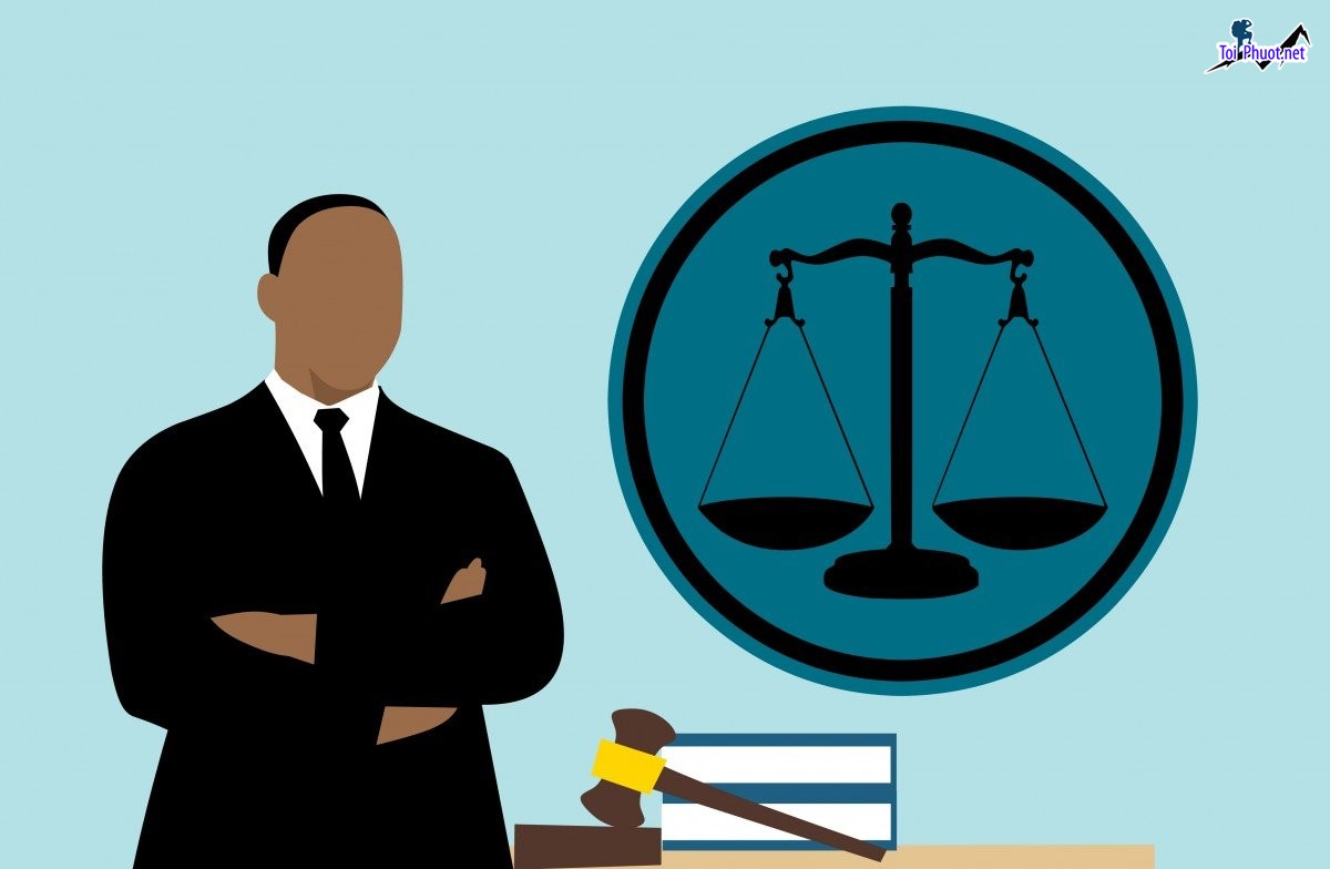 Latest 2024 Construction Law and Implementation Guidelines in the US (2)