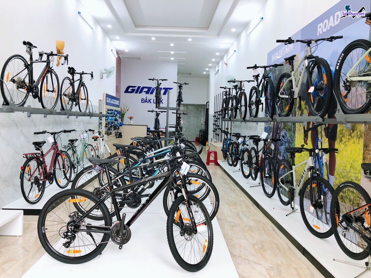 Top 5 Cửa hàng bán xe đạp thể thao uy tín nhất Biên Hòa Đồng Nai độc đáo và mới lạ (1)