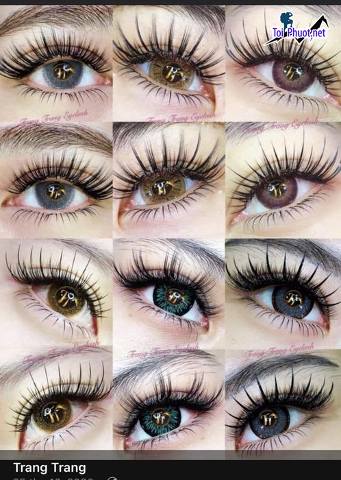 Top 6 Địa chỉ nối mi đẹp tự nhiên uy tín nhất Bà Rịa   Vũng Tàu cực cuốn hút  (1)