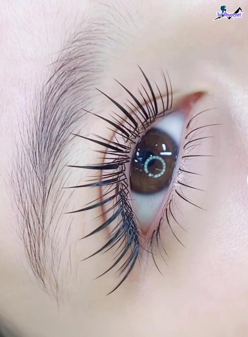 Top 7 Địa chỉ nối mi đẹp tự nhiên uy tín nhất Đà Lạt Lâm Đồng đủ các ưu điểm vượt trội (1)