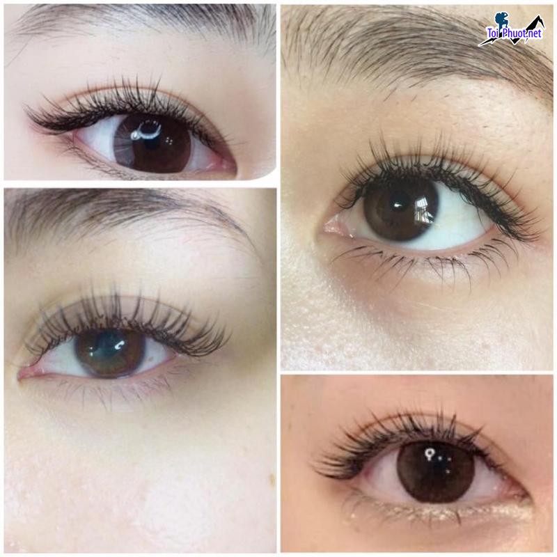 Top 8 Địa chỉ nối mi đẹp tự nhiên uy tín nhất Tuy Hòa Phú Yên được các khách hàng đánh giá cao (1)