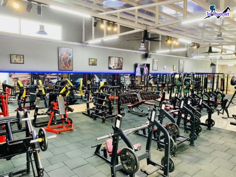 Top 9 Phòng tập gym uy tín và chất lượng nhất Việt Trì Phú Thọ Chi phí cực ưu đãi (4)