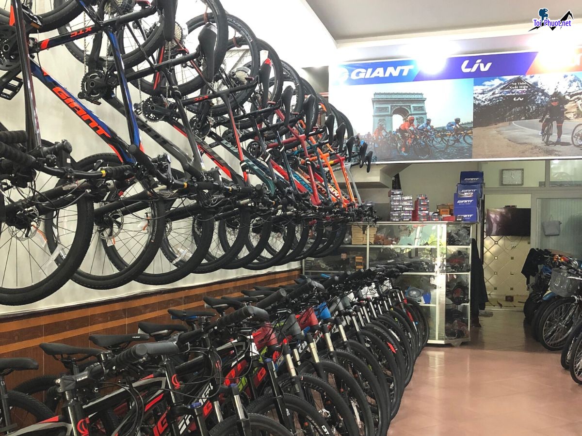 Top Cửa hàng bán xe đạp thể thao uy tín nhất Kon Tum đặt hàng nhanh chóng (3)