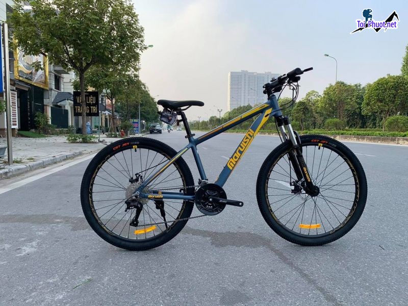 Top Cửa hàng bán xe đạp thể thao uy tín nhất Vĩnh Long bảo hành lâu dài (1)