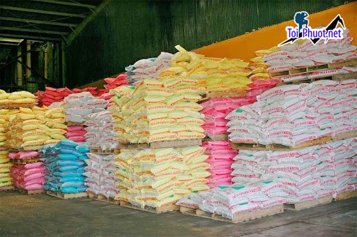 Top 10 bán thức ăn gia súc gia cầm Biên Hòa Đồng Nai cho nhu cầu chăn nuôi của bạn (3)