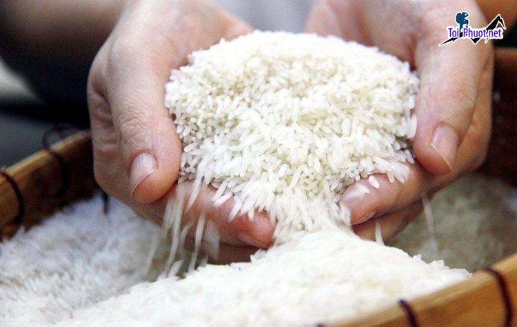 Top 10 cửa hàng gạo gần đây chất lượng Long Xuyên An Giang phục vụ thị trường nội địa và xuất khẩu (1)
