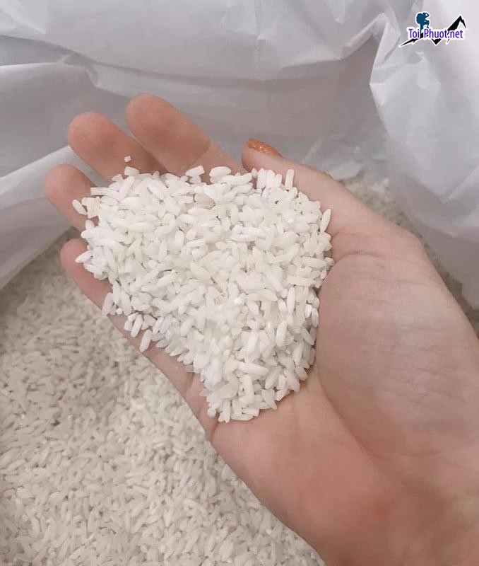 Top 2 cửa hàng gạo gần đây chất lượng Phan Rang Tháp Chàm Ninh Thuận đáp ứng nhu cầu cao (1)