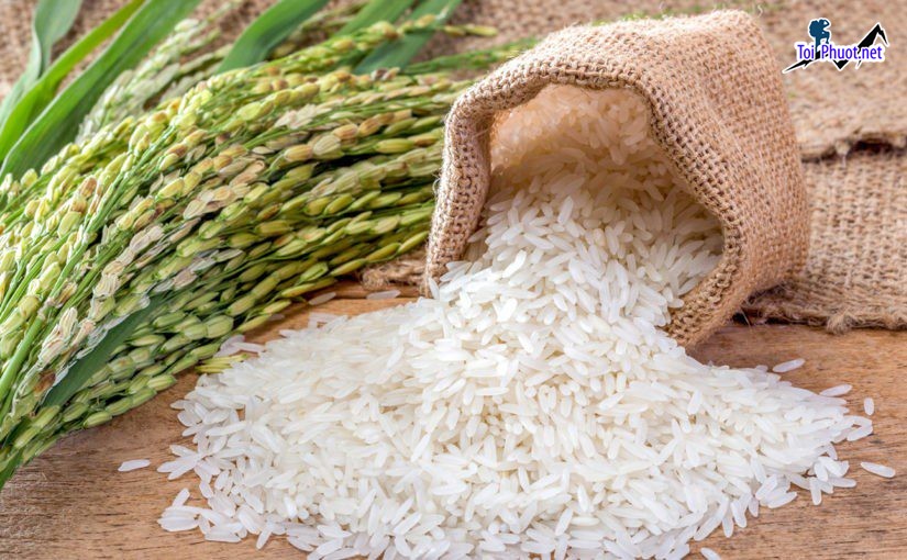 Top 2 cửa hàng gạo gần đây chất lượng Quảng Ngãi phân phối rộng rãi (3)