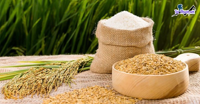 Top 2 cửa hàng gạo gần đây chất lượng Yên Bái uy tín hàng đầu (2)