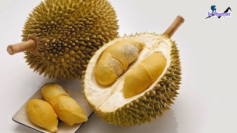 Top 2 cung cấp bán sầu riêng giá rẻ tốt chất lượng Bắc Ninh ngon nhất mà chúng tôi có (1)