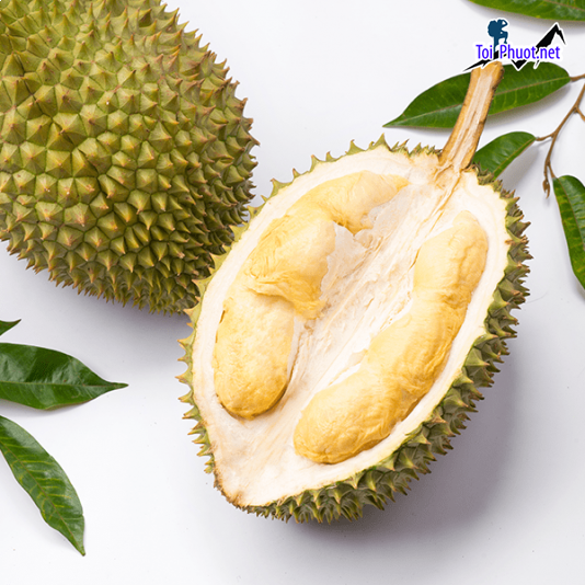 Top 2 cung cấp bán sầu riêng giá rẻ tốt chất lượng Hải Phòng cực nổi tiếng