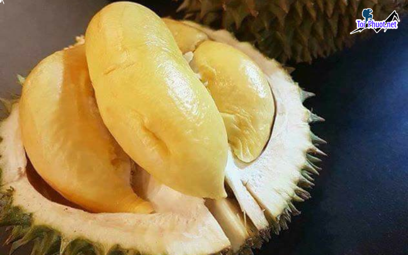 Top 2 cung cấp bán sầu riêng giá rẻ tốt chất lượng Hòa Bình dày cơm (1)