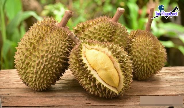 Top 3 cung cấp bán sầu riêng giá rẻ tốt chất lượng Bắc Kạn cao cấp (1)