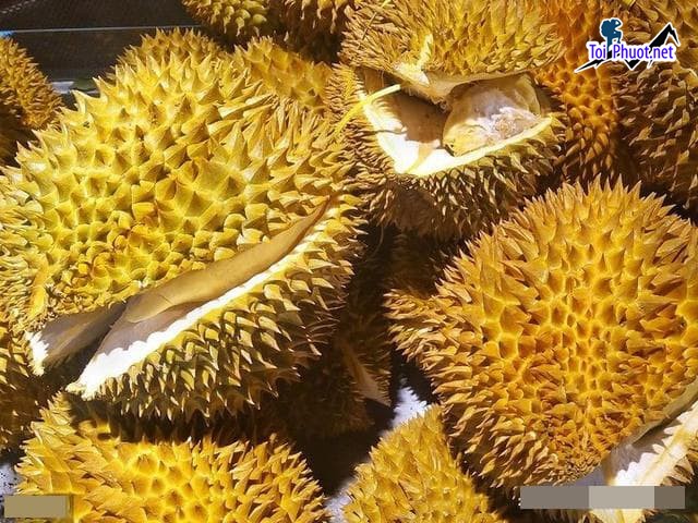 Top 3 cung cấp bán sầu riêng giá rẻ tốt chất lượng Bắc Kạn cao cấp (3)