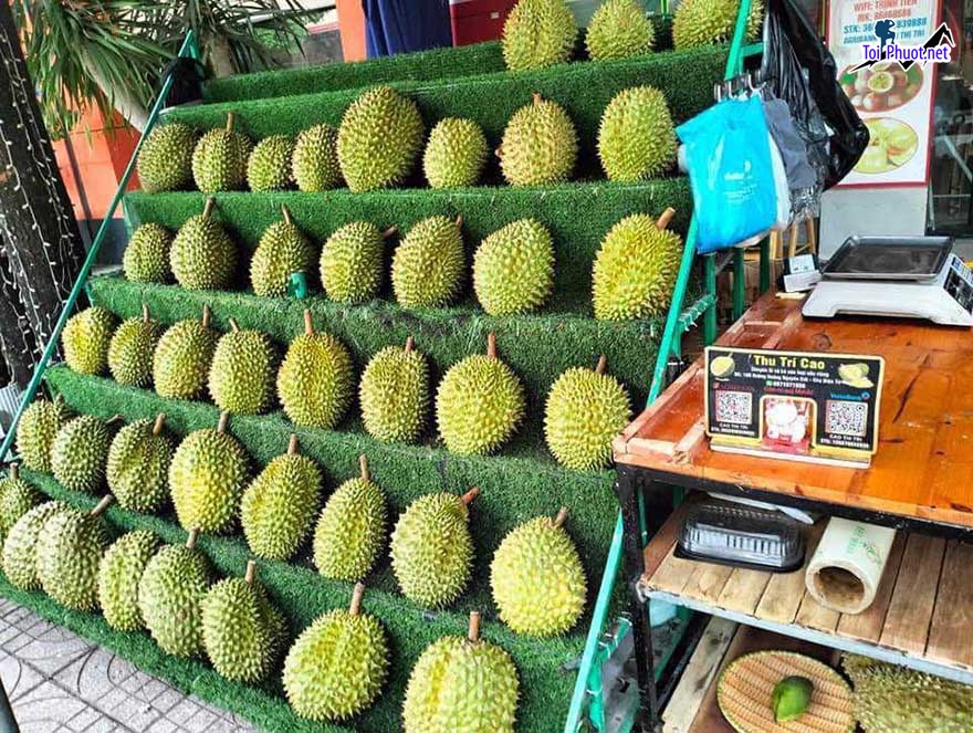 Top 3 cung cấp bán sầu riêng giá rẻ tốt chất lượng Cần Thơ để phân phối (3)