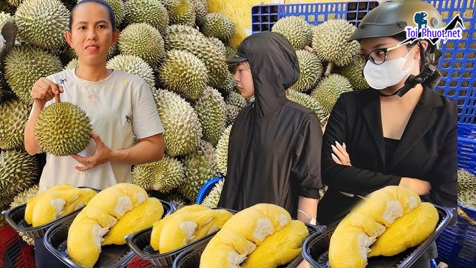 Top 3 cung cấp bán sầu riêng giá rẻ tốt chất lượng Pleiku Gia Lai uy tín nhất (2)