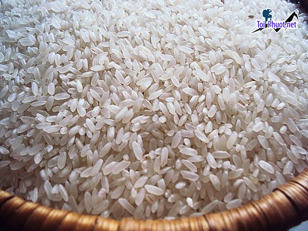 Top 4 cửa hàng gạo gần đây chất lượng Pleiku Gia Lai đạt theo tiêu chuẩn (2)