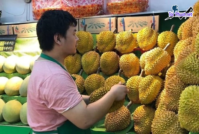 Top 4 cung cấp bán sầu riêng giá rẻ tốt chất lượng Hà Tĩnh giá trị cao