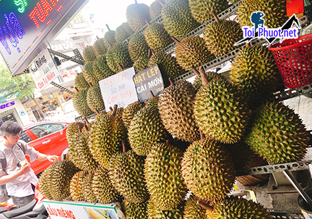 Top 4 cung cấp bán sầu riêng giá rẻ tốt chất lượng Hải Dương làm bạn hài lòng (1)