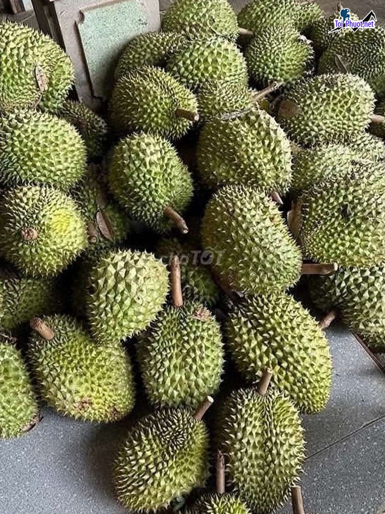 Top 4 cung cấp bán sầu riêng giá rẻ tốt chất lượng Long Xuyên An Giang ngon nhất (2)