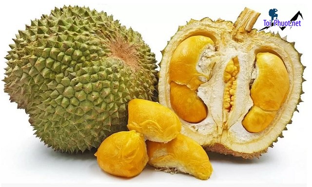 Top 4 cung cấp bán sầu riêng giá rẻ tốt chất lượng Long Xuyên An Giang ngon nhất
