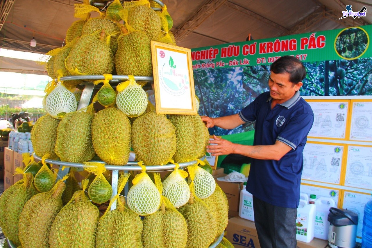 Top 4 cung cấp bán sầu riêng giá rẻ tốt chất lượng Rạch Giá Kiên Giang quanh năm (1)