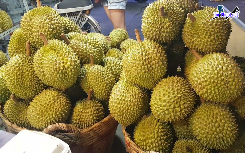 Top 4 cung cấp bán sầu riêng giá rẻ tốt chất lượng Trà Vinh nổi tiếng (1)