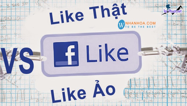 Top 4 dịch vụ tăng like giá rẻ chất Bạc Liêu Mức giá phải chăng (3)