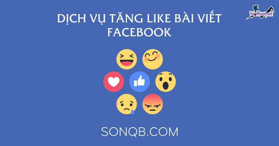 Top 4 dịch vụ tăng like giá rẻ chất Bạc Liêu Mức giá phải chăng