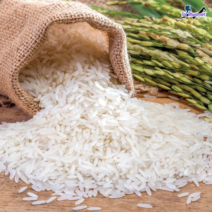 Top 5 cửa hàng gạo gần đây chất lượng Bắc Giang giá tốt nhất (3)
