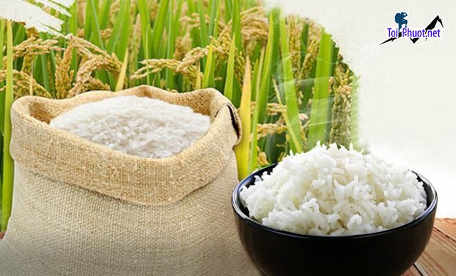 Top 5 cửa hàng gạo gần đây chất lượng Hải Phòng yên tâm lựa chọn (2)