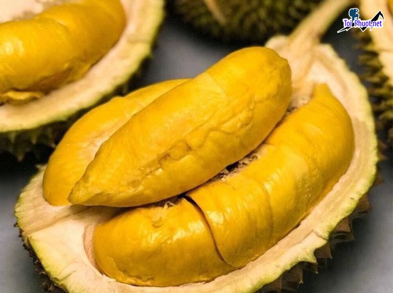 Top 5 cung cấp bán sầu riêng giá rẻ tốt chất lượng Đà Nẵng mùi thơm nức (2)