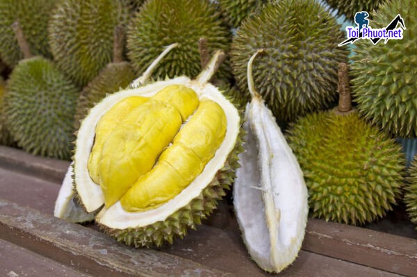 Top 5 cung cấp bán sầu riêng giá rẻ tốt chất lượng Đà Nẵng mùi thơm nức (3)