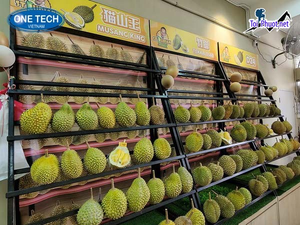 Top 5 cung cấp bán sầu riêng giá rẻ tốt chất lượng Hưng Yên tươi ngon (2)