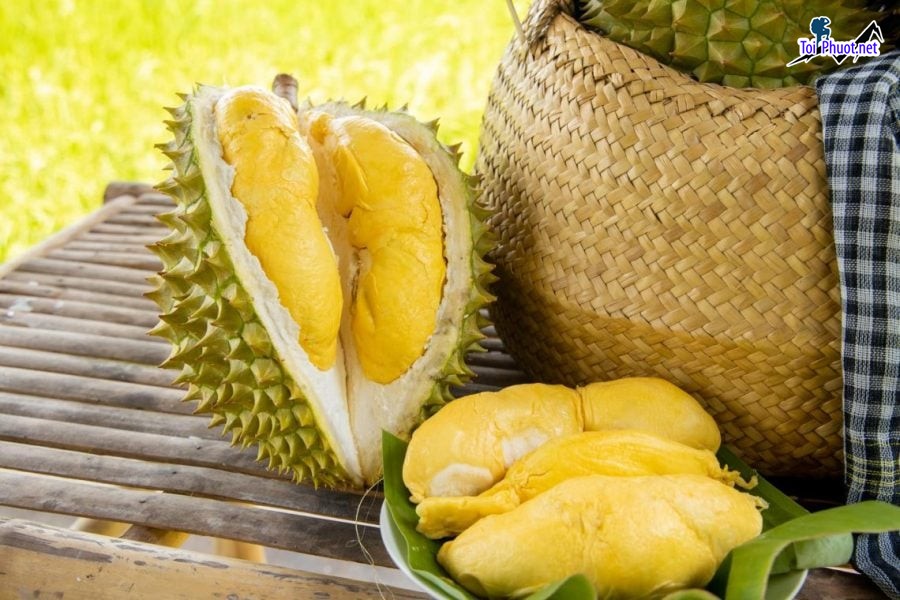 Top 5 cung cấp bán sầu riêng giá rẻ tốt chất lượng Hưng Yên tươi ngon