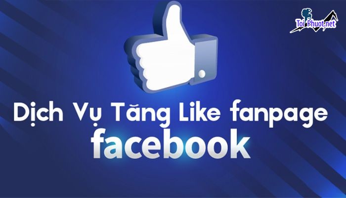 Top 5 dịch vụ tăng like giá rẻ chất Hà Tĩnh kinh doanh dễ dàng (1)