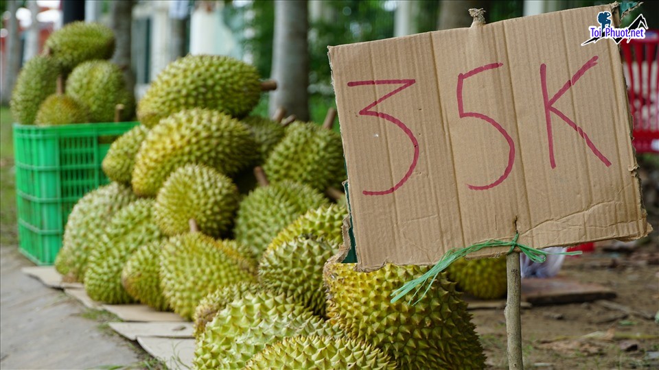Top 6 cung cấp bán sầu riêng giá rẻ tốt chất lượng Hà Nội không sử dụng hóa chất bảo quản