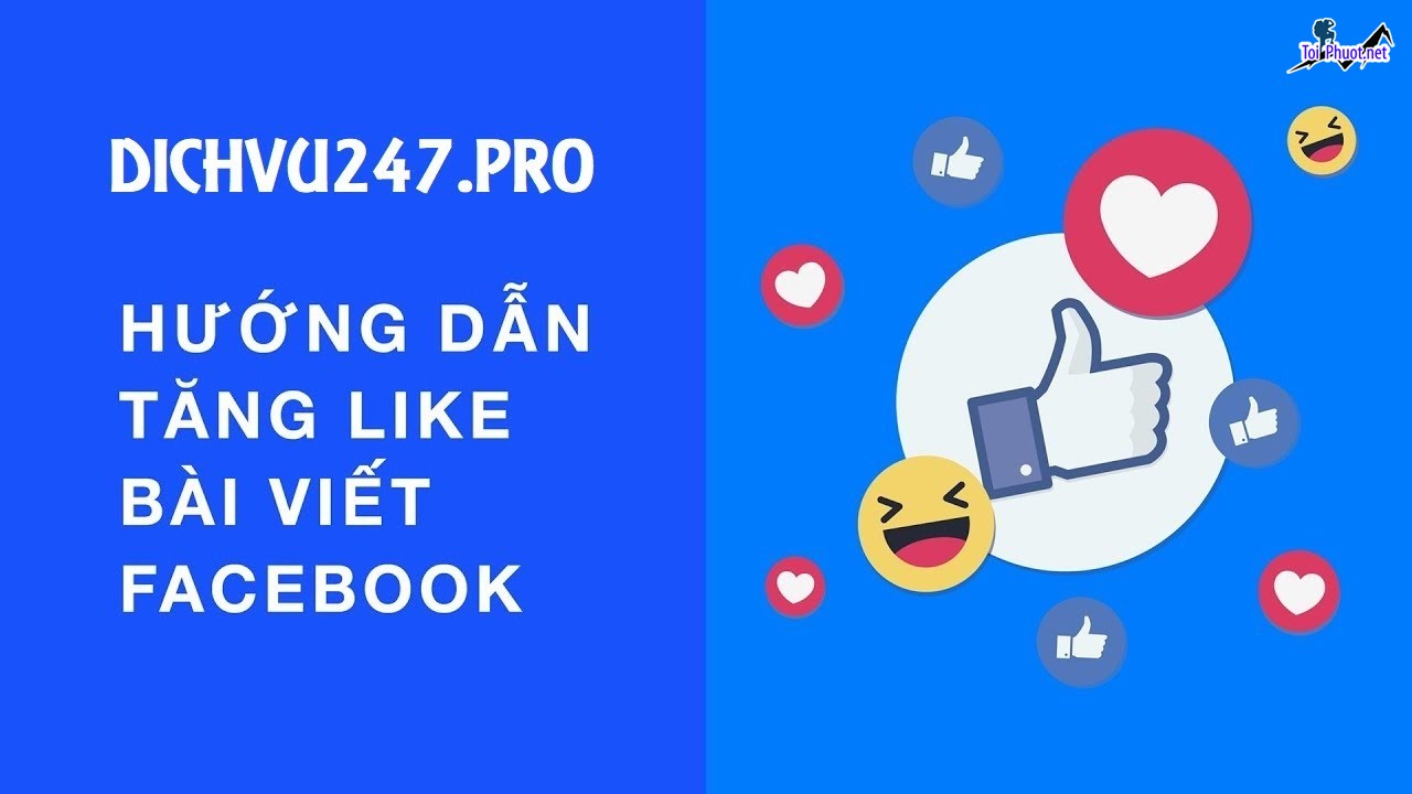 Top 6 dịch vụ tăng like giá rẻ chất Vị Thanh Hậu Giang được tư vấn tốt nhất (1)